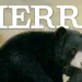 An insistence on the worth of every animal matters more than ever