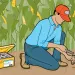 New technologies help farmers adapt to climate change