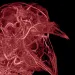 A CT scan of a pigeon's profile against a black background, highlighting the many tiny lines of its vascular system 