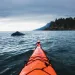 The front tip of a kayak points toward the back of a whale in the distance. To the right is a Haida Gwaii island with many trees.
