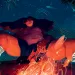 Heart of a Giant
