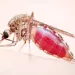 The mosquito has bent the arc of history, felling armies and empires.