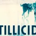 Stillicide by Cynan Jones