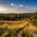 A dirt trail leads down toward rolling hills of green in Iowa's Loess Hills.