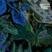 Illustration of two wolves in the dense, dark Tongass rainforest.