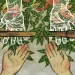 Illustration by Yuko Shimizu