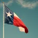 Texas flag