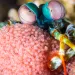 Close-up of a peacock mantis shrimp carrying hundreds of pink eggs. It has bulging eyes and is very colorful (turquoise, orange, yellow, and purple).