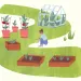 Planting for the Future