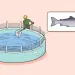 Illustrations show the phases of land salmon farming, including trays of eggs, tanks with fry, and someone scooping out a grown salmon from a tank.