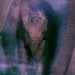Close-up of a young elephant walking between two bigger elephants toward the camera.