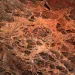 Boxwork formation in Wind Cave, SD courtesy of Wirepec