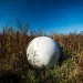 A buoy sits on a dry lake bed San Luis Obispo CA
