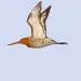 filename