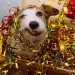 filename