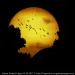 partial solar eclipse
