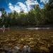 Jacks Fork River, Missouri.