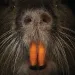 filename