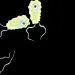filename