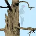 filename