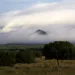 El Malpaisa