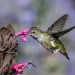 Photo by IStock | Hakoar
