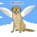 filename