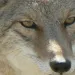 filename