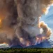 Roaring Lion Fire