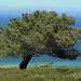 filename
