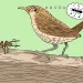 filename