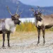 Photo by IStock | Richard Seeley