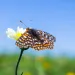Photo by iStock-Sundry Photography 