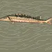 filename