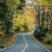 Winding paved road in Vermont surrounded by red and green and yellow fall foliage.