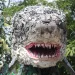 Chompers the shark