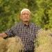 Tunisan man in a white hat and checked shirt surrounded by wild, dry, spindly plants that he's let go to seed.