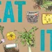 Eat It Up!