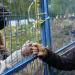 Two people—one masked, one not—bump fists through a blue chain-link fence in a forest.