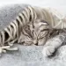 filename