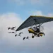 Whooping cranes 