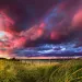 Dramatic purple and blue sky over a horizon of waving beach grass