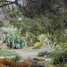 Xeriscaping