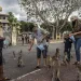A group of people hand-feed macaques on a street in Thailand.