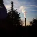 image of a smokestack between a grove of trees
