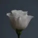 filename