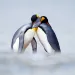 filename