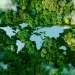 Computer-generated image of a map of the continents as seen from above. The continents are water and the rest are trees.