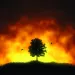 Illustration of a single bushy tree silhouetted against a firey landscape