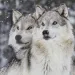 filename